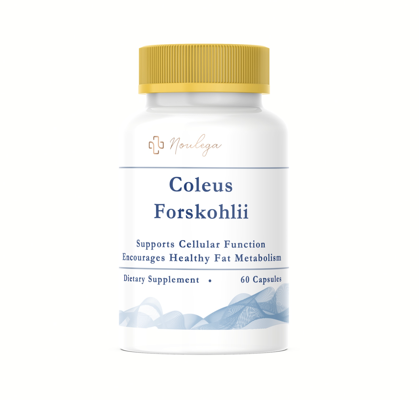 Coleus Forskohlii (60 Capsules)