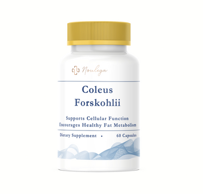 Coleus Forskohlii (60 Capsules)